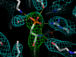 Electron density of S1P1R binding site shows that a 90 degree flipped Asn101 fits the density equally well as the deposited Asn101 rotamer.