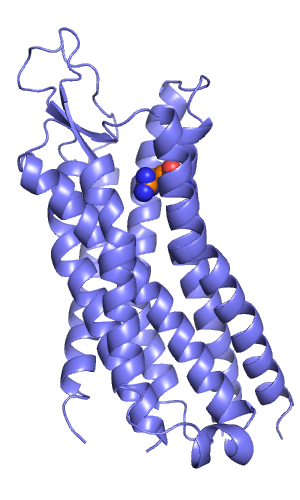 X-ray structure of Neurotensin receptor. The C-terminus of NT(8-13) was predicted to interact with Arg327, which is depicted with spheres.