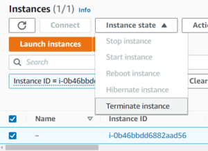 Terminateinstance.png