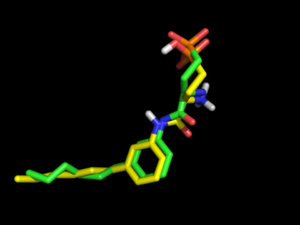 Comparison of crystal pose (green) to docked S1P1R ligand (yellow) with electrostatics turned on during conformation generation. Nice salt bridge between phosphonate and amine, score=-30.