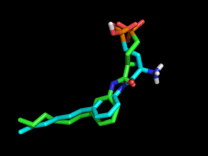 Comparison of crystal pose (green) to docked S1P1R ligand (cyan) with electrostatics turned off during conformation generation. No salt bridge between phosphonate and amine, score=-3.