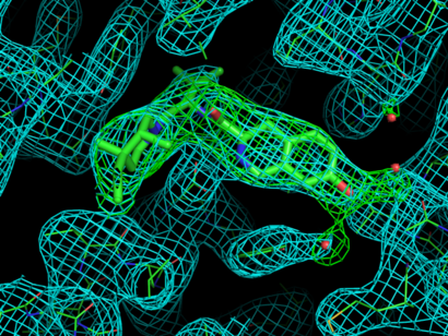SA omit map around kappa ligand in green, 2Fo-Fc map in cyan. The ligand and water molecules show up nicely, although they were omitted during refinement.